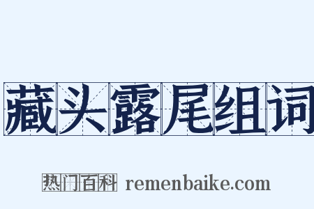 藏头露尾组词是什么意思的图片